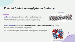 PAKIET: chemiczne podstawy życia KLASA 1 PODSTAWA BIOLOGIA