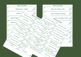 "ZEMSTA" A. Fredry - plan wydarzeń - fiszki - 3 wersje