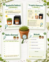 Rzeżucha badacza — mini eksperyment