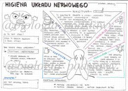 Klasa 7 - Higiena układu nerwowego - sketchnotka