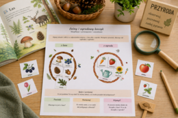 Leśny i ogrodowy koszyk – klasyfikacja