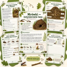 Mrówki - inżynierowie lasu