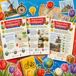 Skąd przybyły tulipany?