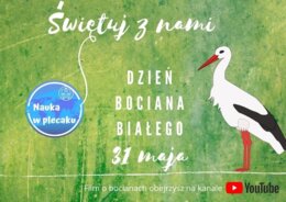 Dzień Bociana Białego - 31 maja - matematyka