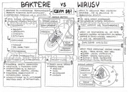 Klasa 5 - Wirusy i bakterie - notatka graficzna