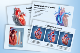 BUDOWA I DZIAŁANIE SERCA - prezentacja, lekcja - klasa 7, quiz, biologia, Puls Życia