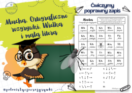 Mucha. Ortograficzne rozgrywki. Wielka i mała litera. Ortografia