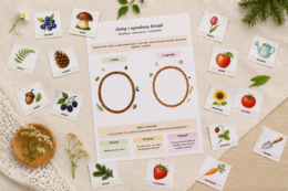 Leśny i ogrodowy koszyk – klasyfikacja