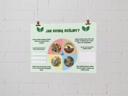 Plakaty edukacyjne. Cykl życia roślin i zwierząt. Różnorodność biologiczna. Jak chronić środowisko? Pięć zasad ekologii.