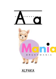 MOJE PIERWSZE LITERY – PISANIE DRUKIEM