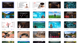 Prezentacja multimedialna w genial.ly „Pierścienice - zwierzęta, które mają segmentowane ciało” – do edycji i pobrania – biologia klasa VI, dział II – temat 4