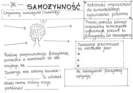 Samożywność (karta pracy)