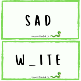 Zestaw stacji powtórkowych