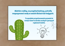 DZIEŃ WODY - ZESTAW