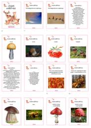 Jesienne karty do prezentacji