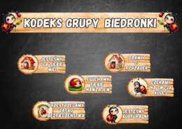KODEKS GRUPA BIEDRONKI