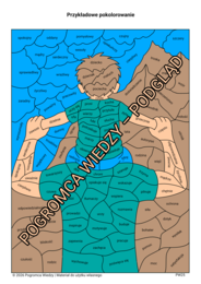 Tata - bohater na co dzień - karta pracy + klucz odpowiedzi