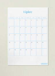 Czytelnicze BINGO (wersja wakacyjna) & planner