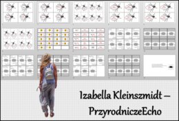 Gry (muchy, układanka, domino, Piotruś – gra karciana) „Wzory i nazwy kwasów”, w pdf. Chemia 7 i 8 , dział „Kwasy”. Materiał wykonany na podstawie podręcznika z wydawnictwa MAC – nowość 2024/2025.