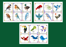 DZIEŃ PTAKÓW – puzzle – układanka- układanki – biblioteka – świetlica – przedszkole – 36 wersji – WIOSNA