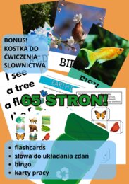 Earth Day – Dzień Ziemi 🌍 | Angielski klasy 1–3 | 3 scenariusze lekcji + flashcards + bingo + karty pracy
