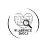 W labiryncie emocji
