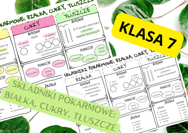 Biologia 7. Składniki pokarmowe: białka, cukry, tłuszcze