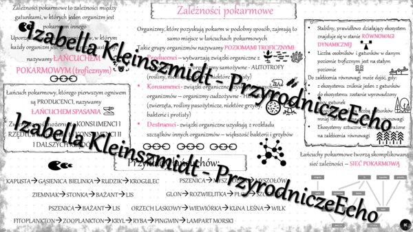Sketchnotka - notatka „Zależności pokarmowe” wykonana w power point do edycji. Biologia 8; „EKOLOGIA”