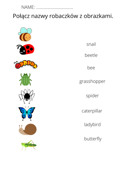 Bugs - nazwy owadów.