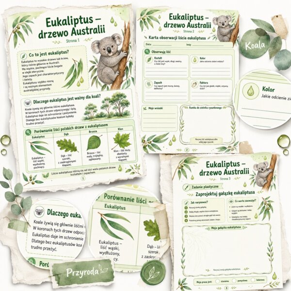 Eukaliptus - drzewo Australii