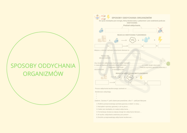 Sposoby oddychania organizmów - notatka do uzupełnienia z zadaniem