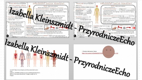 Minizestaw na temat „Obwodowy układ nerwowy. Odruchy” – sketchnotka + karta pracy w power point + gratisowy link do prezentacji multimedialnej niekomercyjnej wykonanej w genial.ly do indywidualnego pobrania i użycia do celów niekomercyjnych. Biologia 7, 