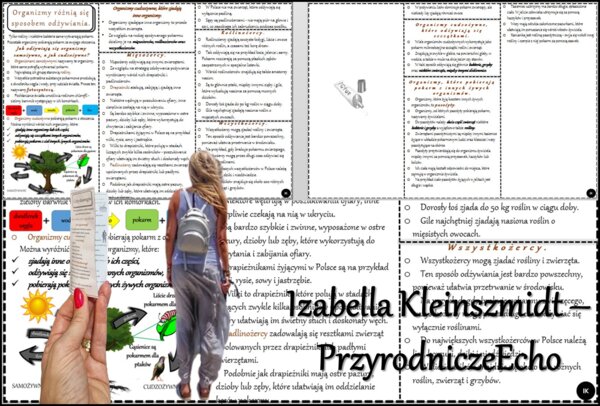 Książeczka/sketchnotka/notatka/wklejka/streszczenie dla ucznia i przypomnienie dla nauczyciela/edukacja domowa/materiał w pigułce. Temat „Organizmy różnią się sposobem odżywiania.” w pdf. Przyroda 4, dział „Poznajemy świat organizmów”. Nowość 2024/2025.