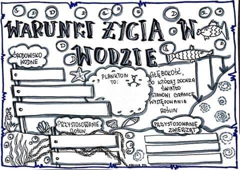 Warunki życia w wodzie. Karta pracy klasa 4