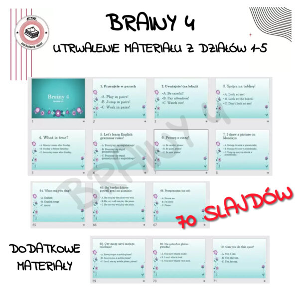 Brainy 4 ćwiczenia utrwalające działy 1-5