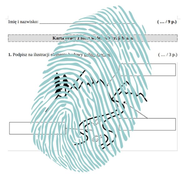 Formy wypukłe i wklęsłe krajobrazu – karty pracy / PRZYRODA klasa 4