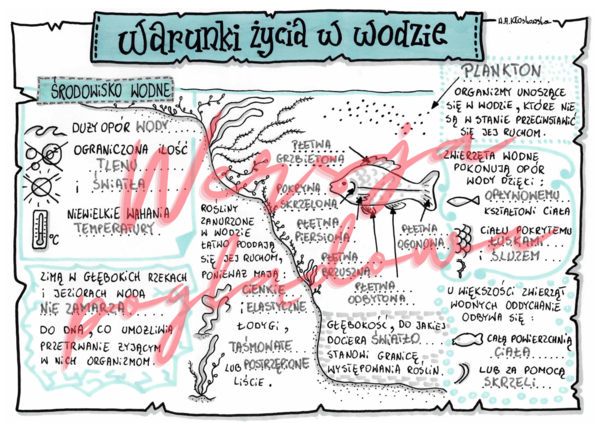 Warunki życia w wodzie -przyroda kl. 4 -wypełniona karta pracy
