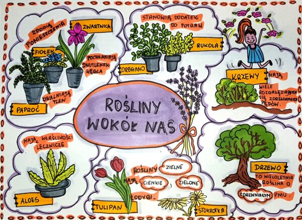 Klasa 4. Przyroda. Karta pracy. Rośliny wokół nas