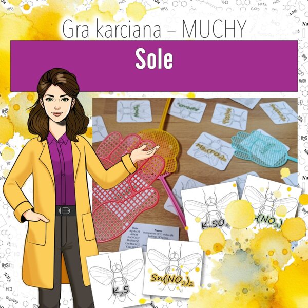 Chemia nieorganiczna: Sole – Gra karciana, MUCHY (chemia, kl 8).