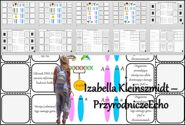 Notatka okienkowa/stacja zadaniowe/notatka/notatka graficzna/karta pracy/sketchnotka „Podstawowe prawa dziedziczenia”, „Krzyżówki genetyczne”, „Podstawowe pojęcia genetyki” w pdf. Biologia 8 dział „Genetyka”. Materiał wykonany na podstawie podręcznika z 