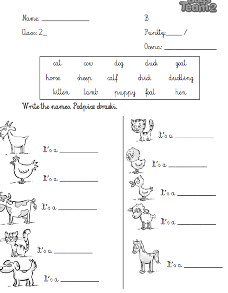 Kartkówki do Bugs Team 2