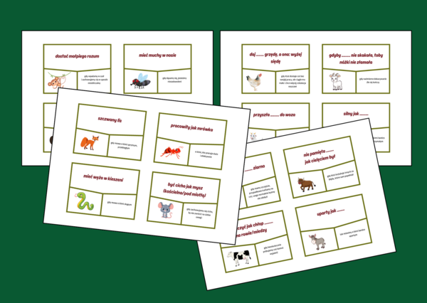 FRAZEOLOGIZMY - zwierzęta - ptaki - fiszki – 48 szt. x 2 - kl. 4-8 – egzamin – powtórzenie- ćwiczenia – związki frazeologiczne