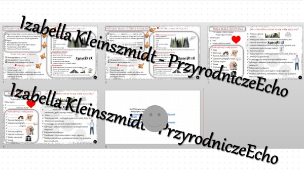 Zestaw sketchnotek i kart pracy + gratisowe linki do prezentacji multimedialnych niekomercyjnych wykonanych w genial.ly do indywidualnego pobrania i użycia do celów niekomercyjnych. Geografia 7, „Mój region i moja mała ojczyzna”