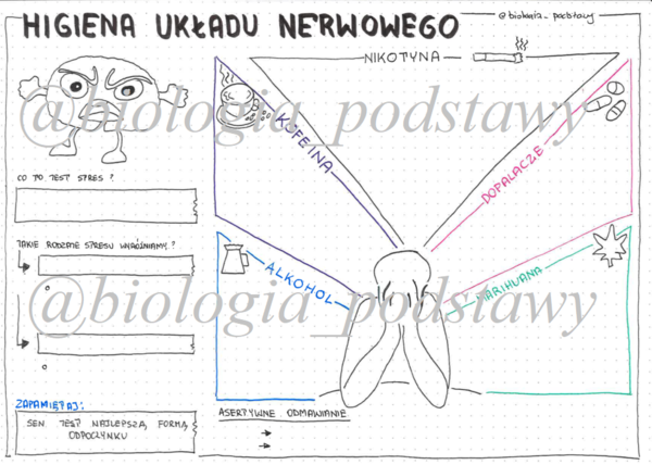Klasa 7 - Higiena układu nerwowego - KP