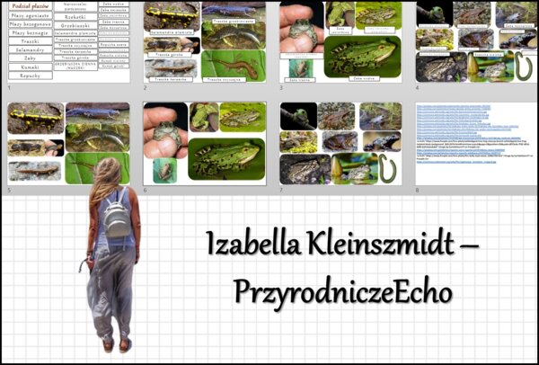 Materiał do zalaminowania/praca w grupach/stacje zadaniowe/układanka/puzzle „Przegląd i znaczenie płazów” w pdf. Biologia 6, dział „Kręgowce zmiennocieplne”.