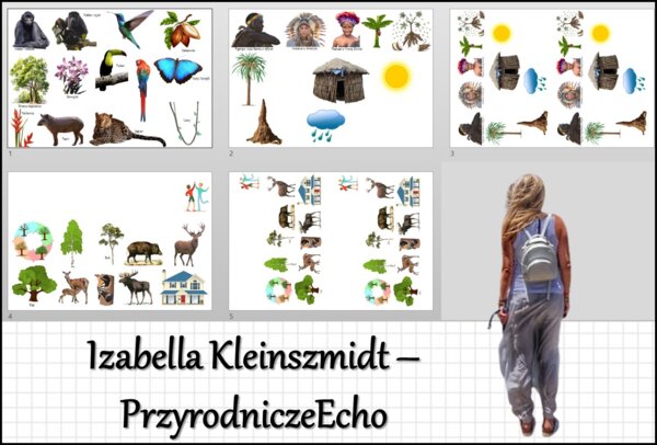 Materiał do wycięcia/wycinanka do notatki „W wilgotnym lesie równikowym i w lasach liściastych i mieszanych” w pdf. Geografia 5, dział „Krajobrazy świata”.