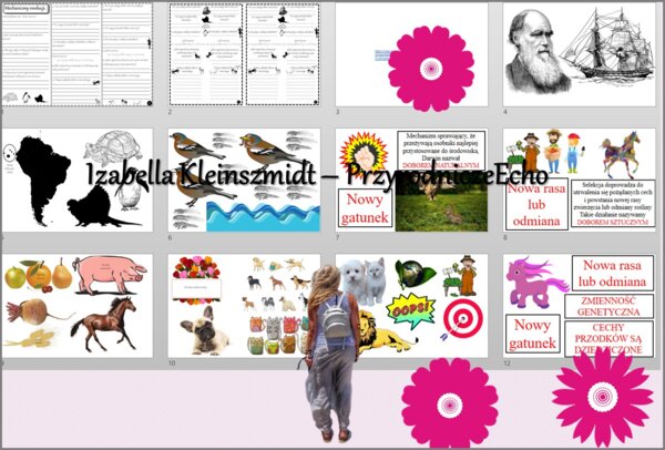 Pomysł na lekcję/karta pracy/stacje zadaniowe/notatki/ materiał do lekcji do tematu „Mechanizmy ewolucji” w pdf. W gratisie niekomercyjny scenariusz lekcji/pomysł na lekcję w programie genial.ly do edycji. Biologia 8. Dział „Ewolucja życia”.