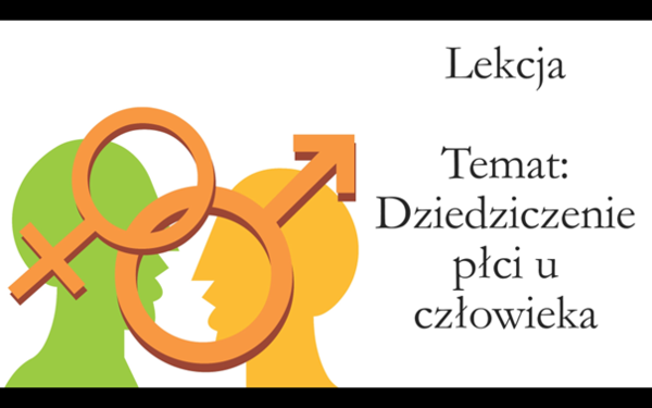 Klasa 3 (podstawa) - Dziedziczenie płci. Cechy sprzężone z płcią - prezentacja