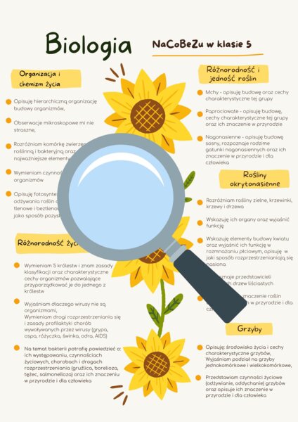 NaCoBeZu klasa 5