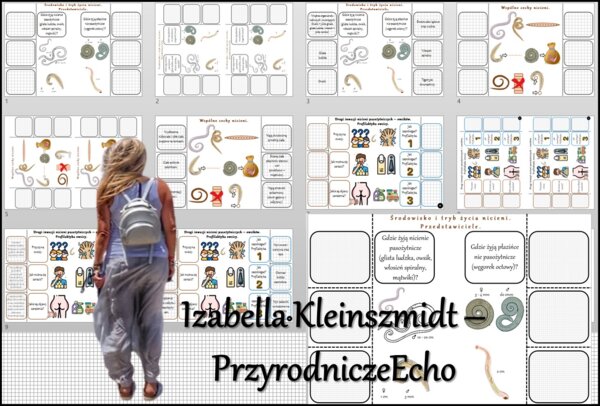 Notatka okienkowa/stacja zadaniowe/notatka interaktywna/notatka graficzna/karta pracy/sketchnotka „Nicienie - zwierzęta, które mają nitkowate ciało ”. Materiał wykonany na podstawie podręcznika z wydawnictwa Nowa Era – nowość 2024/2025. Biologia 6. Dział